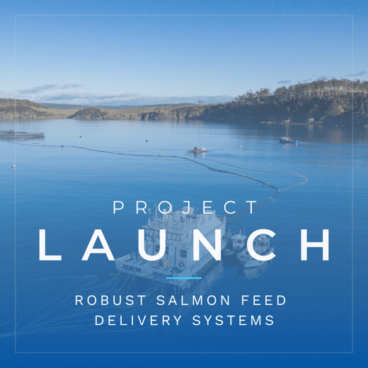 1.21.003-PROJECT LAUNCH