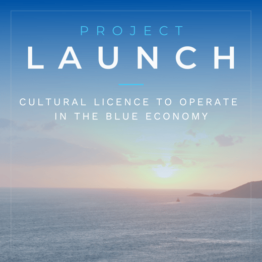 5.20.006-PROJECT LAUNCH