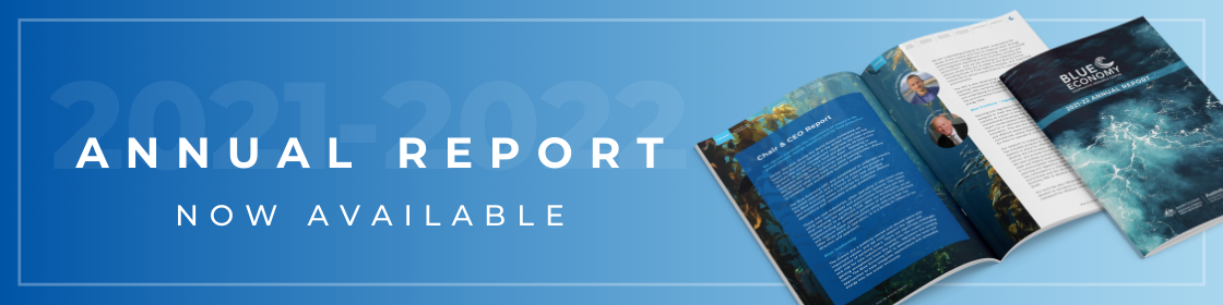 ANNUAL REPORT_BANNER