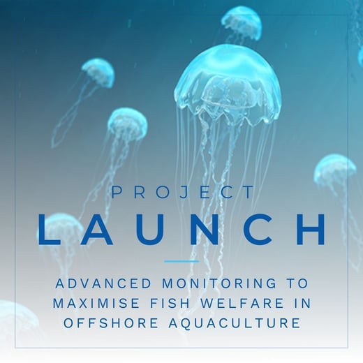 PROJECT LAUNCH
