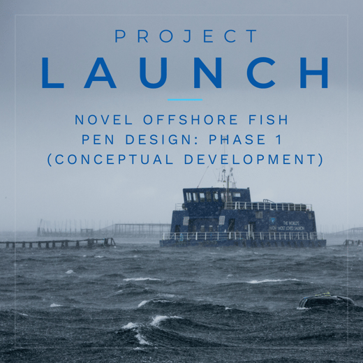 PROJECT LAUNCH