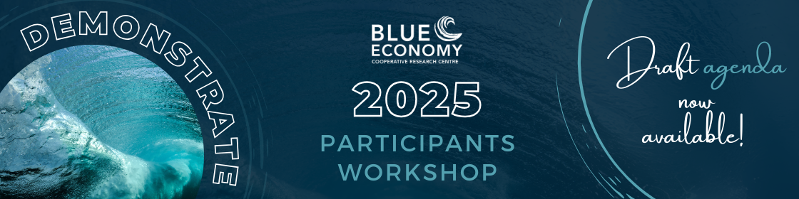 workshop draft-agenda